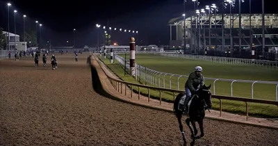 Kentucky Derby Trainer Suspended after Horse Deaths