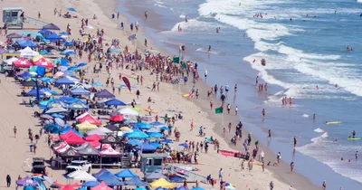 President Trump to honor teen lifeguard for rescuing boy