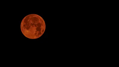 A Sign of the End Times? Another Blood Moon Appears July 27