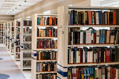 Library display pairing Bible with explicit books removed