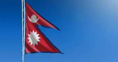 Nepalese High Court Urged to Protect Girls from Illegal Egg Harvesting