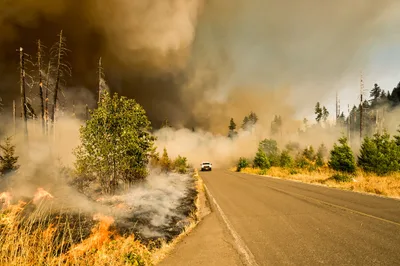 Caring About Climate Change Is Part of Loving Your Neighbor - RELEVANT