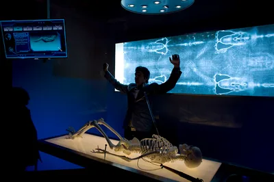 New Museum of the Bible exhibit features Shroud of Turin: 'First viral image'
