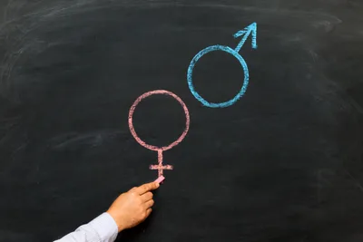 New Jersey Requires Schools to Teach Middle Schoolers about Anal Sex and 'pregnancy options'