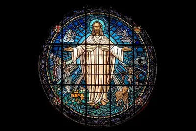What Good Has Christianity Ever Done For the World?