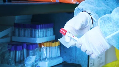 More American 'Open Minds' Say COVID-19 Manipulated in Lab, Intentionally Unleashed on World