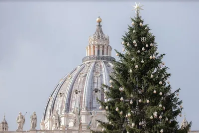 Vatican reaffirms support for COVID-19 vaccines amid spread of omicron variant