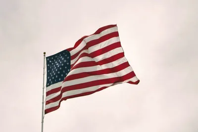 National sins and miseries