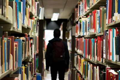 Florida training school librarians to keep libraries free of sexually explicit, CRT material
