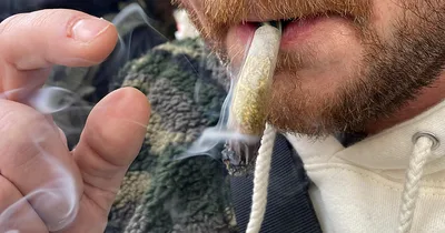 More people consume cannabis than drink alcohol daily, study finds
