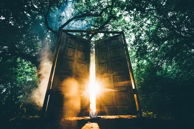How can you know if your dreams are prophetic or not?