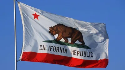 'This Bill Declares War on Parents': CA Bill Allows Kids to Cross State Lines for Gender Surgery, Could Shield 'Kidnappers'