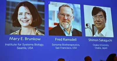 American Scientists Win Nobel Prize for Immune System Discovery