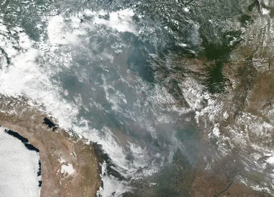 The Amazon Rainforest Is Burning at a Record Rate