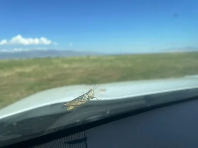 National Weather Service Blames Military 'chaff', Not Plague of Locusts, for Utah Radar Anomaly