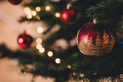 More Americans willing to buy Christmas trees this year despite rising inflation: poll