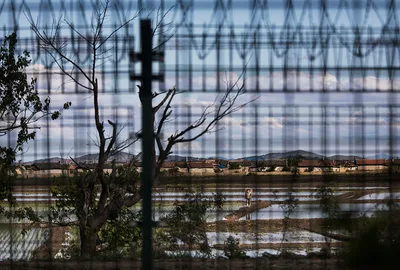 Worsening human rights situation in North Korea calls for change in mission strategy: need to face reality