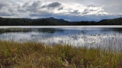 Alabama Baptists work to build camp in Alaska | Baptist Press