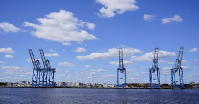 Supply chain leaders warn of major shortages