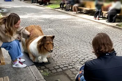 Man who spent $14K on dog suit to fulfill dream of becoming an animal goes for walk on a leash