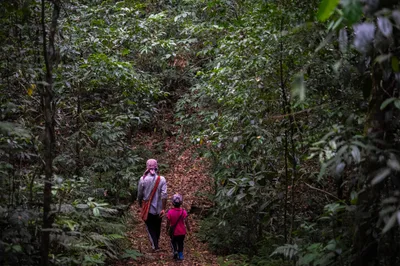 Indigenous Faithful and Christians Work with Environmentalists to Conserve India’s Sacred Forests