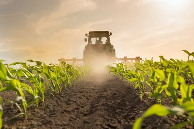 FFA Bars Christian Farmer Group from Expo over Religious Affiliation