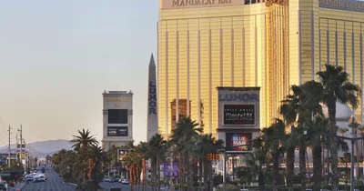 Las Vegas shooting leaves at least 50 people dead
