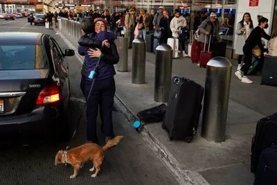 Christmas Blizzard: Massive Winter Storm Threatens to Disrupt Travel, Electricity for Millions