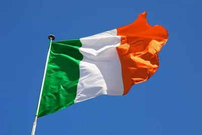 Ireland’s Catholic bishops announce national synodal assembly