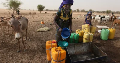 Dozens of Fulani Die in Nigerian Detention Camp, Rights Group Says