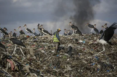 Evangelical Group Releases Climate Change Report, Urges a Biblical Mandate for Action