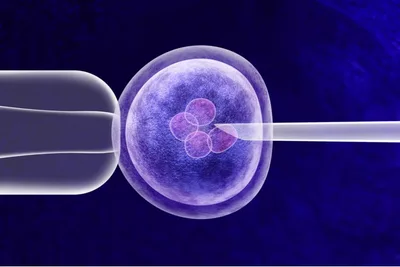 First British Baby with DNA from Three People is Born after IVF Procedure