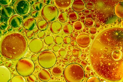 How Religion, Wellness Bros and Conspiracies Made Some Americans Doubt Seed Oils