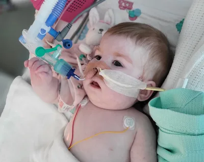 Court orders Indi Gregory's life support to be removed