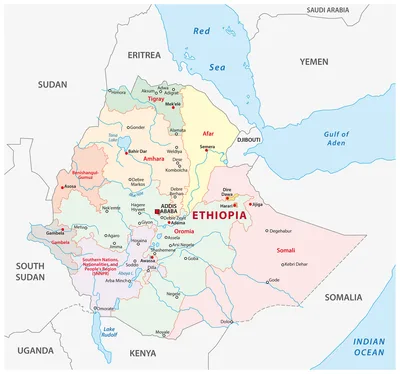 The war in Tigray has divided evangelicals, creating strong feelings against one another