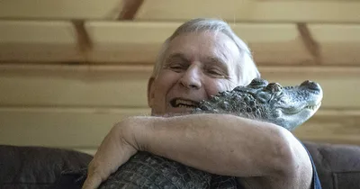 Pennsylvania Man Bemoans Loss of Emotional Support Alligator