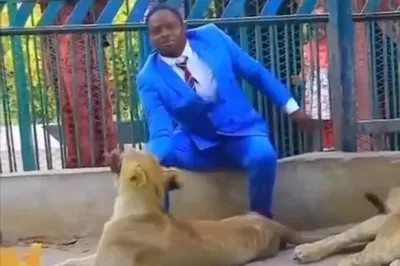 A “Pastor” Caged Himself Into a Lion Enclosure to Prove "Nothing Can Happen to a Man of God" - RELEVANT