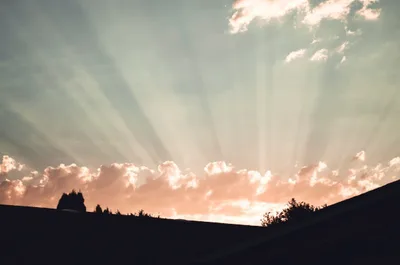 Revelation 20: Resurrected and ruling with Christ