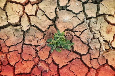 7 Ways to Grow in Your Faith When You Feel Stuck - RELEVANT