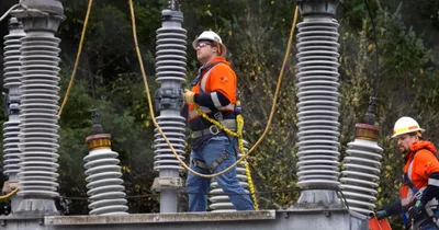 Vandals Take Out Power Substations in Washington State