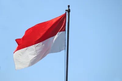 Muslims with Machete, Club Halt Worship in Indonesia