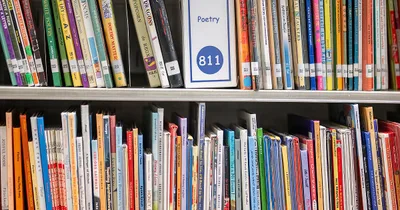 U.S. Reading Scores Plummeted over Three Years, Study Finds