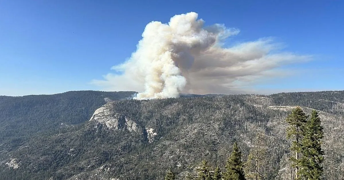Two pilots killed in plane crash while fighting national park fire