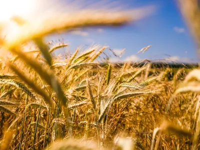 Climate Change Threatening Global Food Supplies, Warns Christian Aid