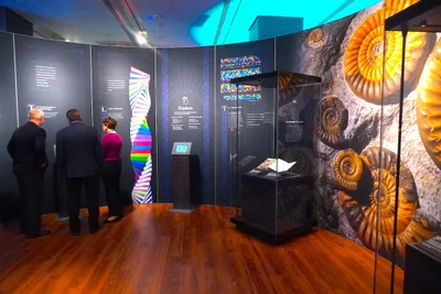 NASA Astronaut Says Science 'doesn't contradict' Christianity; Bible Museum Opens New Exhibit