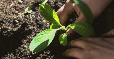 Why Discipleship Feels Harder Than It Should