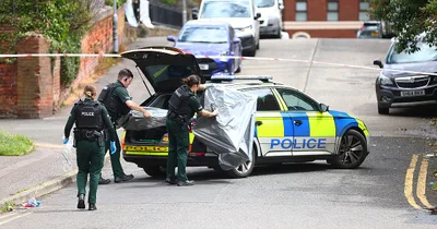 Northern Ireland police arrest immigrant in vicious knifing
