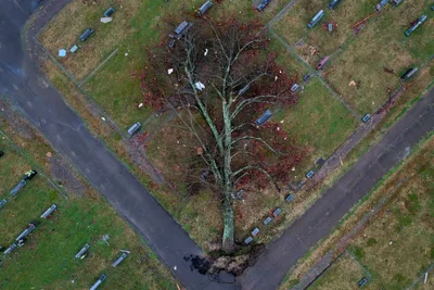 While coping with losses, tornado victims also are hopeful about rebuilding