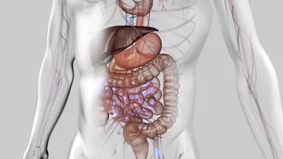 'The Most Important Way to Prevent Disease, Including Cancer': Get Your Daily Dose of Good Bacteria