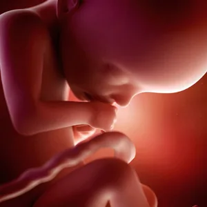French abortion bill would outlaw 'moral' pressure | Baptist Press